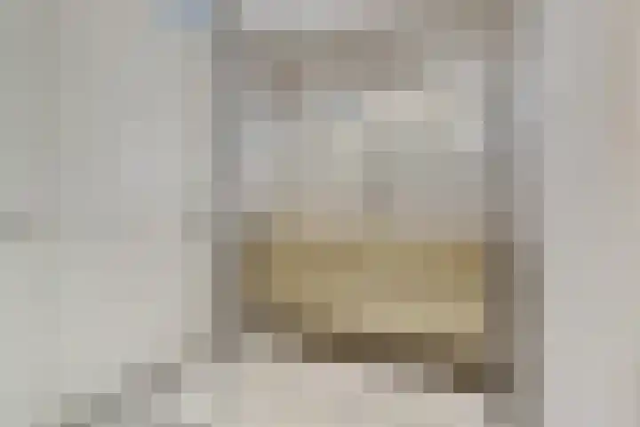 Arie Kempkesweg 72 Waddinxveen thumbnail 28