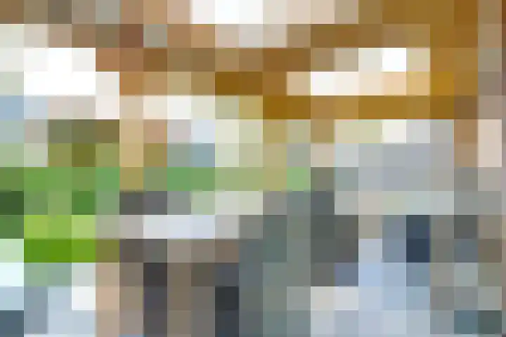 Arie Kempkesweg 72 Waddinxveen thumbnail 36