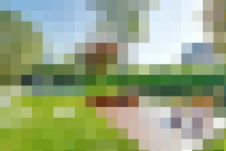 Arie Kempkesweg 72 Waddinxveen thumbnail 38