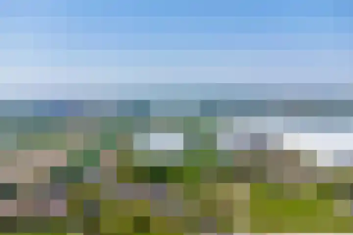 Arie Kempkesweg 72 Waddinxveen thumbnail 48