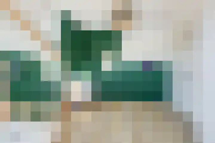 Arie Kempkesweg 73 Waddinxveen thumbnail 24
