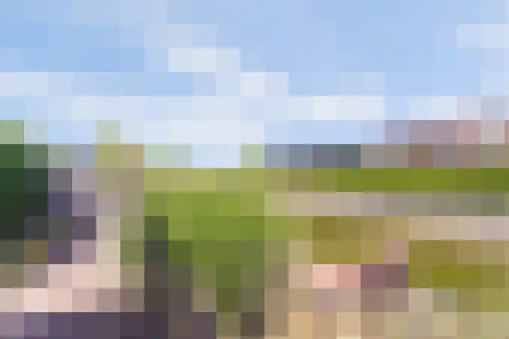 Arie Kempkesweg 73 Waddinxveen thumbnail 34