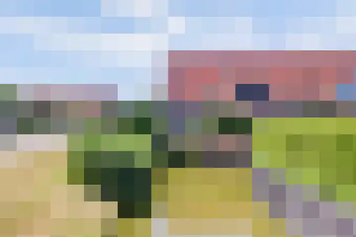 Arie Kempkesweg 73 Waddinxveen thumbnail 36