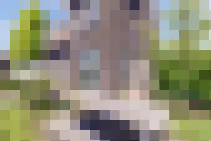 Arie Kempkesweg 73 Waddinxveen thumbnail 39