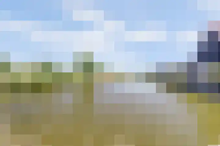 Arie Kempkesweg 73 Waddinxveen thumbnail 45