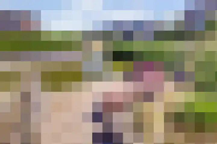 Arie Kempkesweg 73 Waddinxveen thumbnail 5