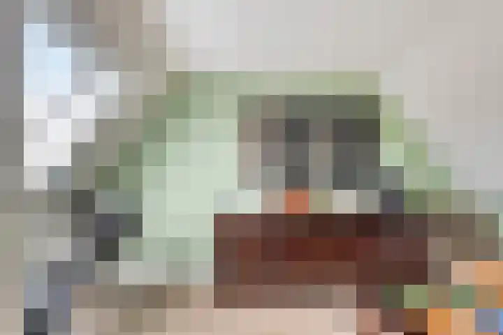 Arie Kempkesweg 86 Waddinxveen thumbnail 24