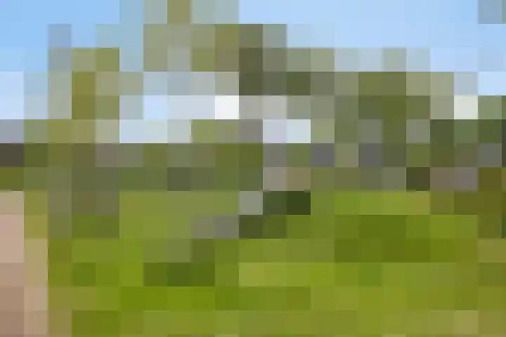 Arie Kempkesweg 86 Waddinxveen thumbnail 34