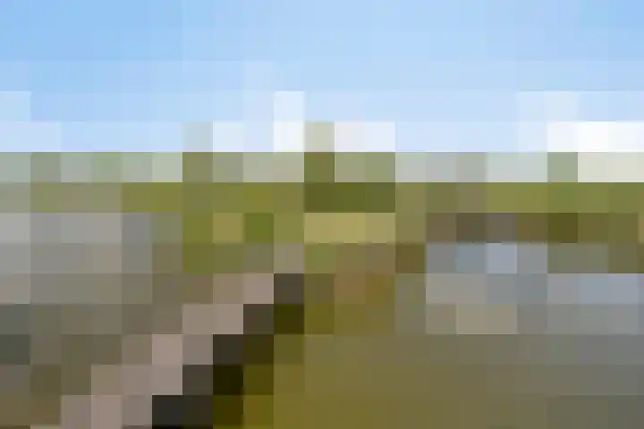 Arie Kempkesweg 86 Waddinxveen thumbnail 35