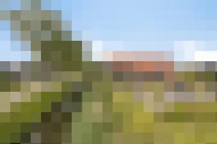 Arie Kempkesweg 86 Waddinxveen thumbnail 4