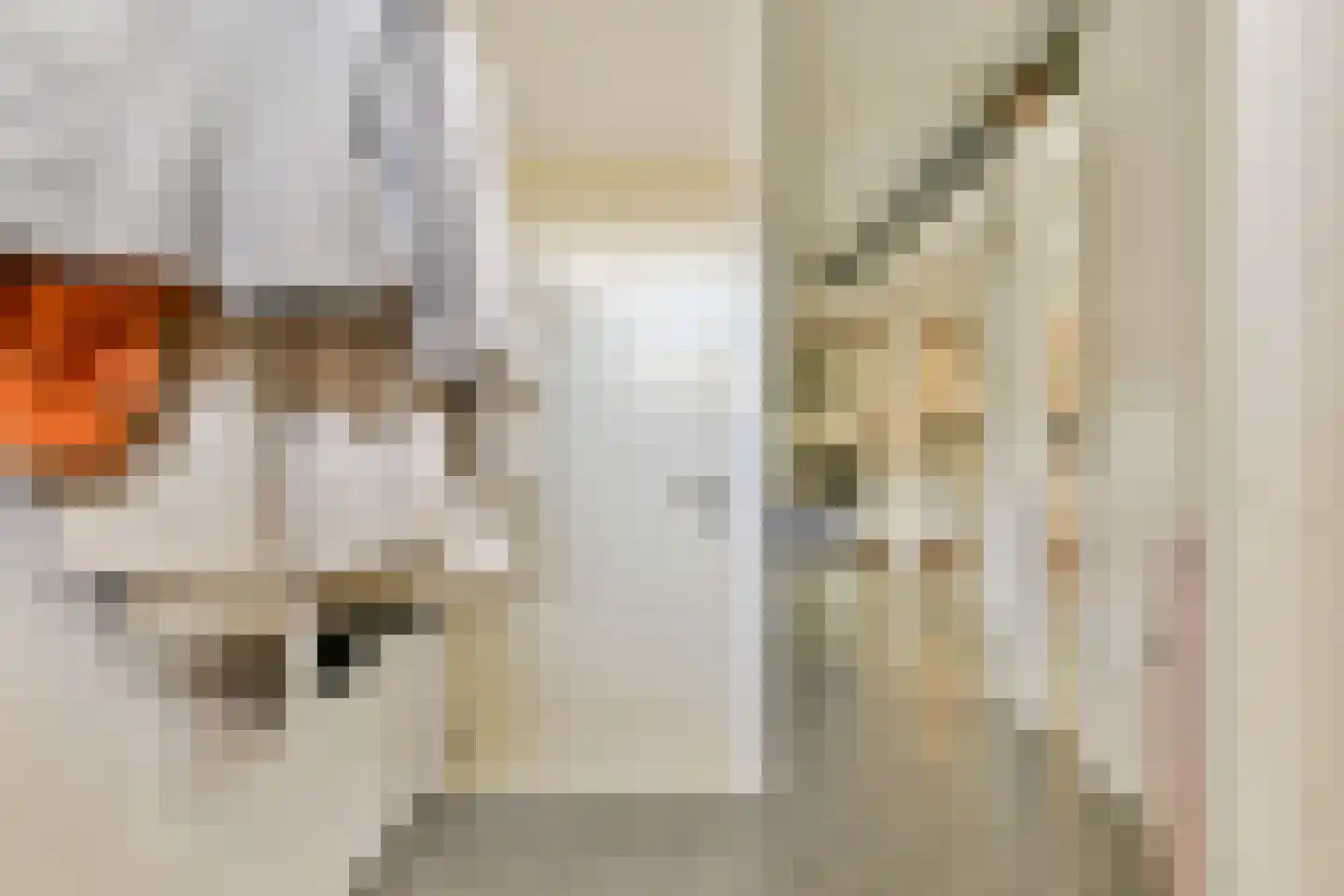 Arie Kerssensteegje 15 Gouda thumbnail 7