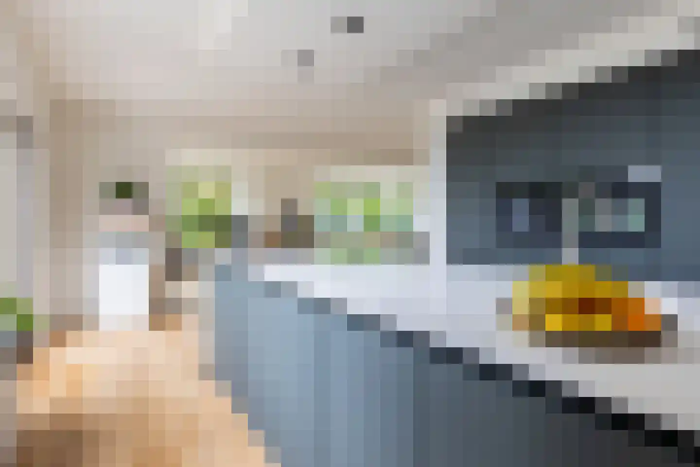Arie Liemanlaan 37 Apeldoorn thumbnail 12