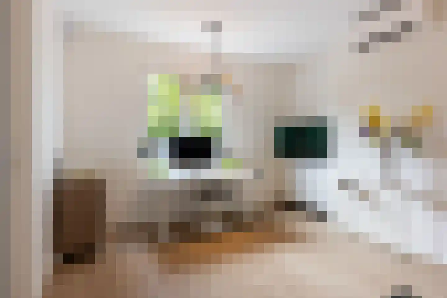 Arie Liemanlaan 37 Apeldoorn thumbnail 22