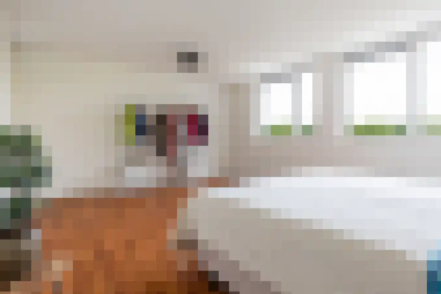 Arie Liemanlaan 37 Apeldoorn thumbnail 30