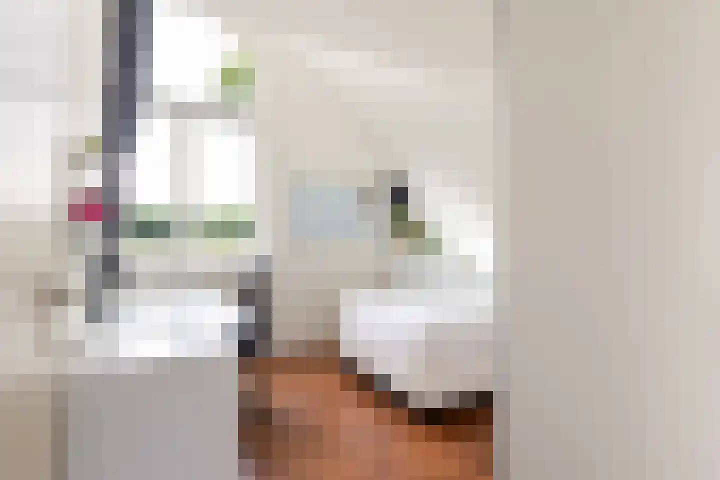 Arie Liemanlaan 37 Apeldoorn thumbnail 35