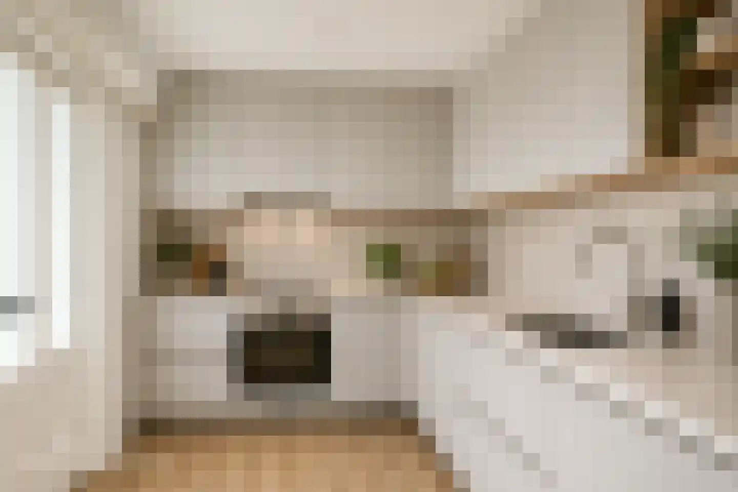 Arie Prinsstraat 9 Middenbeemster thumbnail 13