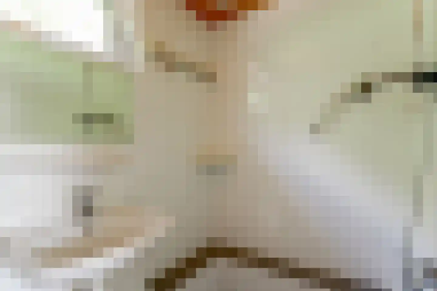 Arie Prinsstraat 9 Middenbeemster thumbnail 32
