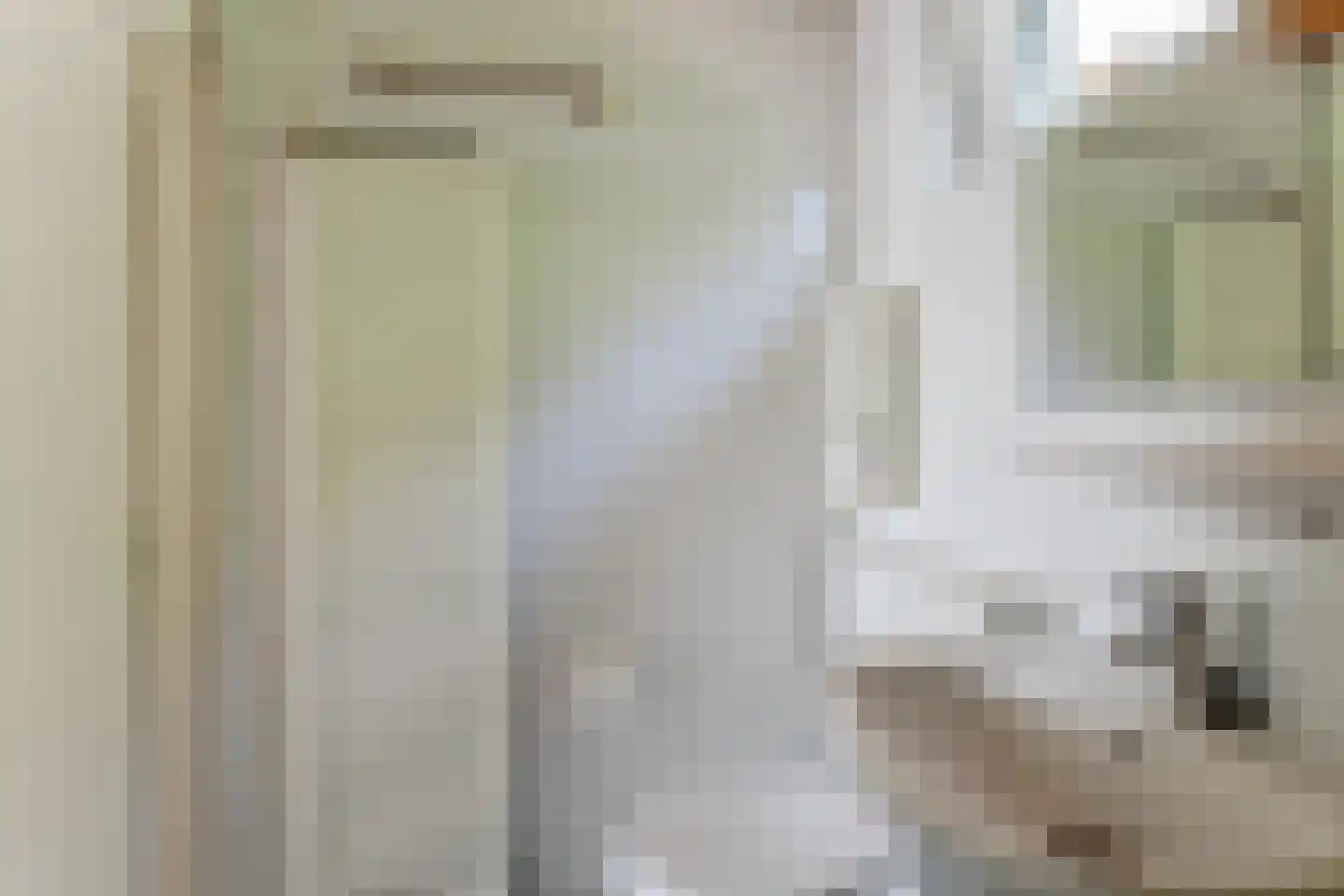 Arie Prinsstraat 9 Middenbeemster thumbnail 33