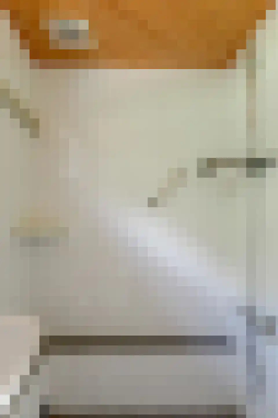 Arie Prinsstraat 9 Middenbeemster thumbnail 34