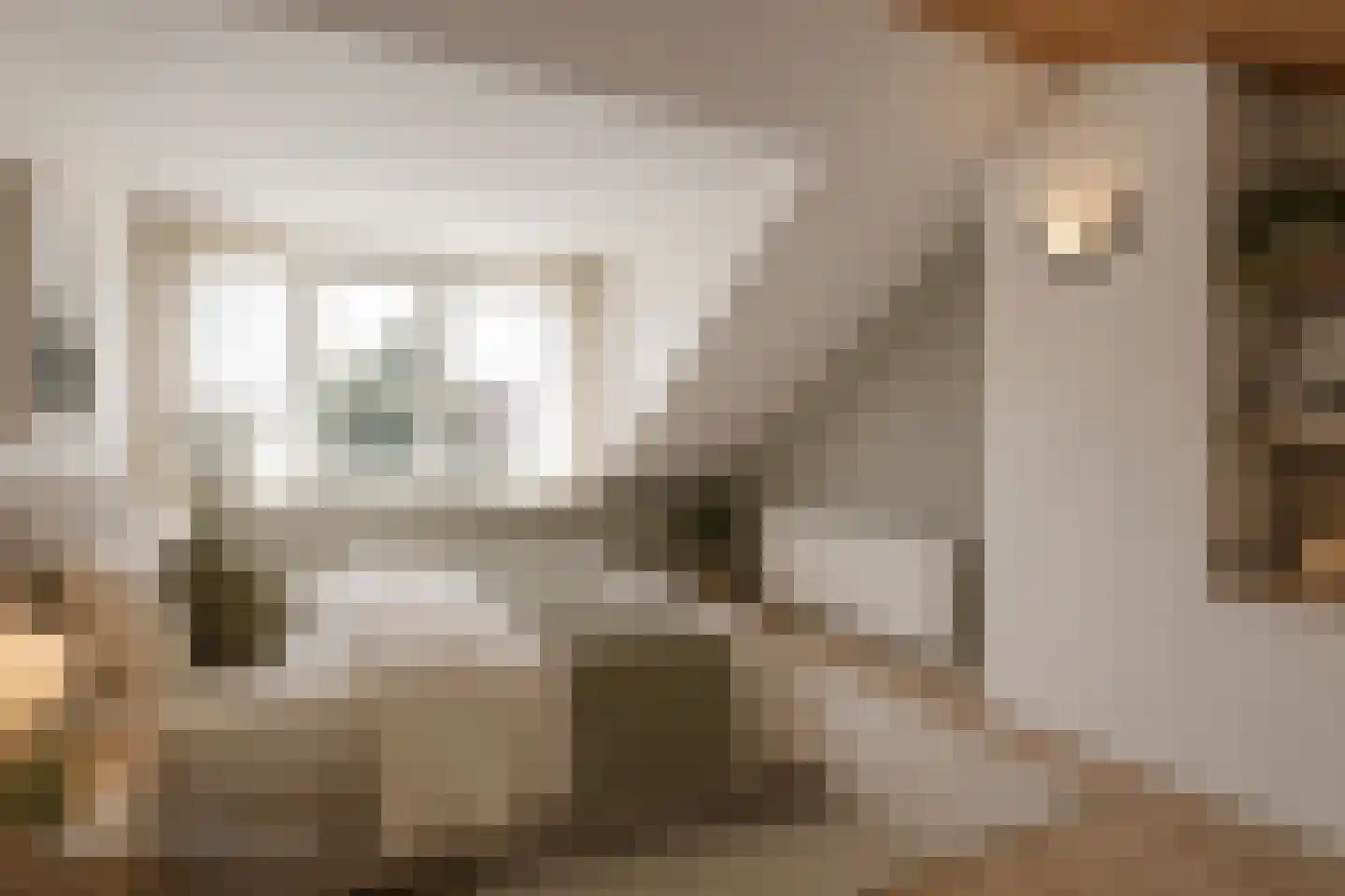 Arie Prinsstraat 9 Middenbeemster thumbnail 38