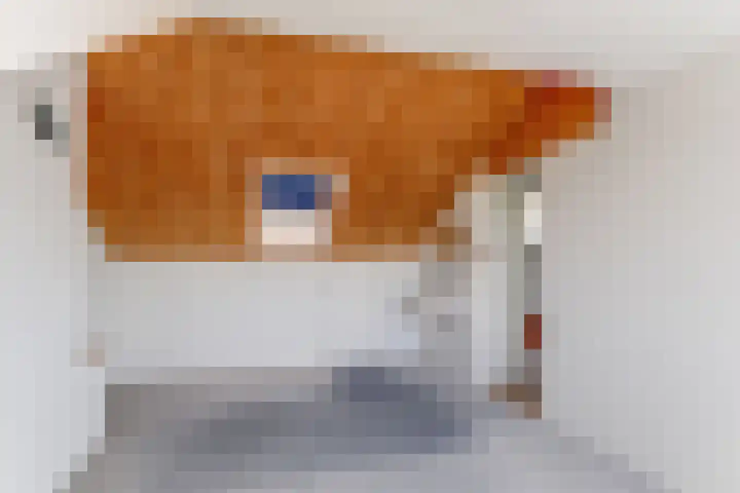 Arie Prinsstraat 9 Middenbeemster thumbnail 41