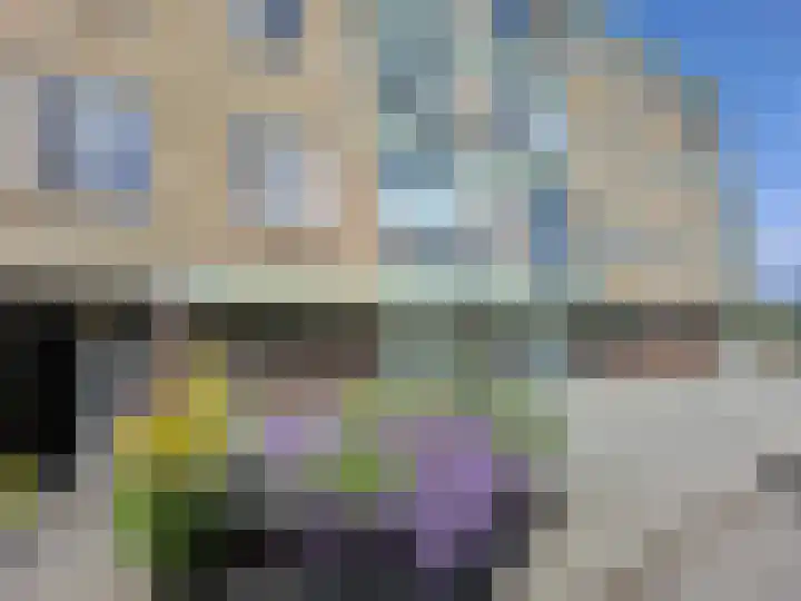 Arie Salystraat 25 in Rotterdam