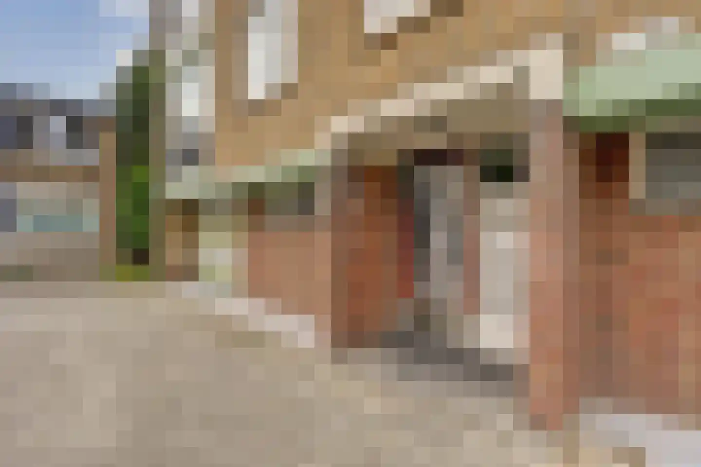 Arie Salystraat 41 Rotterdam thumbnail 20