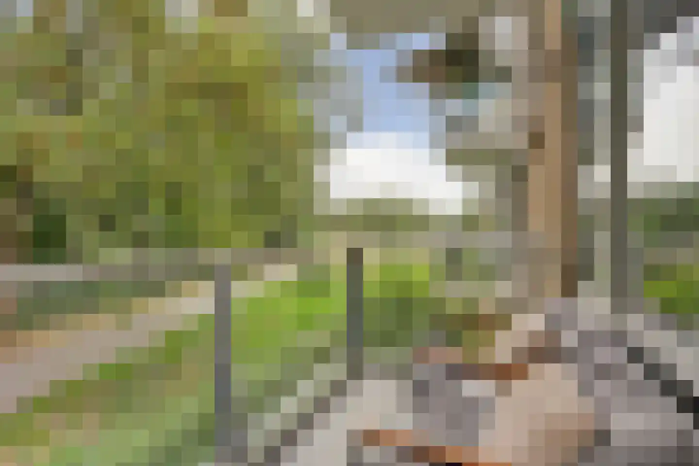 Arie Salystraat 41 Rotterdam thumbnail 4