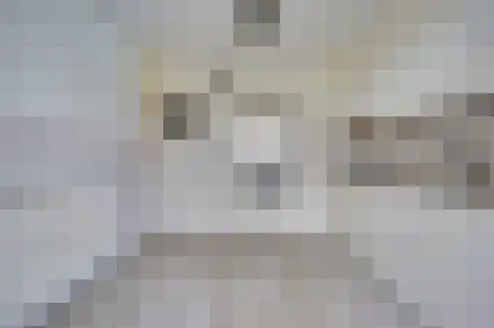 Arie Tukstraat 5 Ter Heijde thumbnail 8