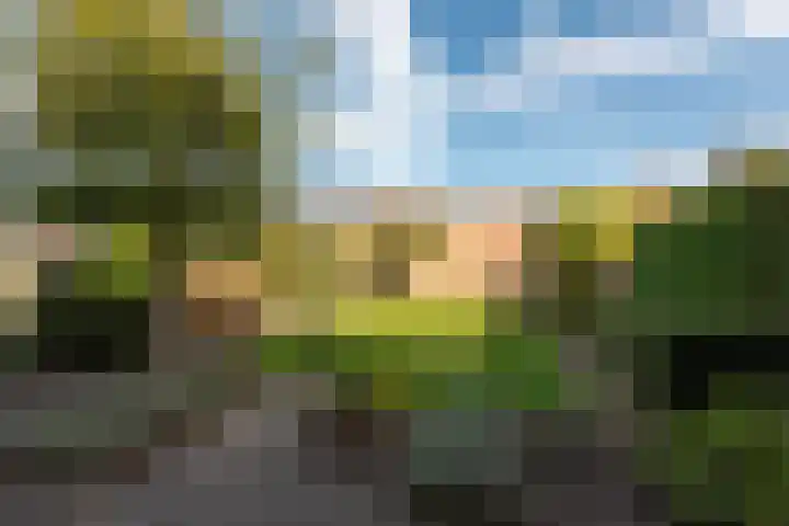 Arie van de Heuvelstraat 17 Bunnik thumbnail 27