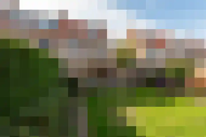 Arie van de Heuvelstraat 17 Bunnik thumbnail 28