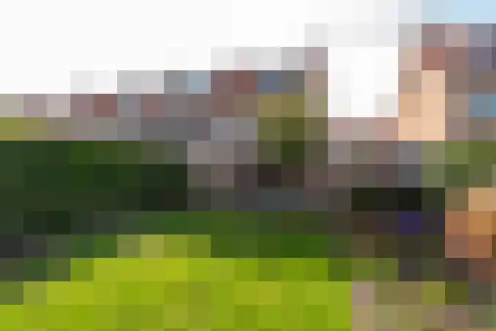 Arie van de Heuvelstraat 17 Bunnik thumbnail 5