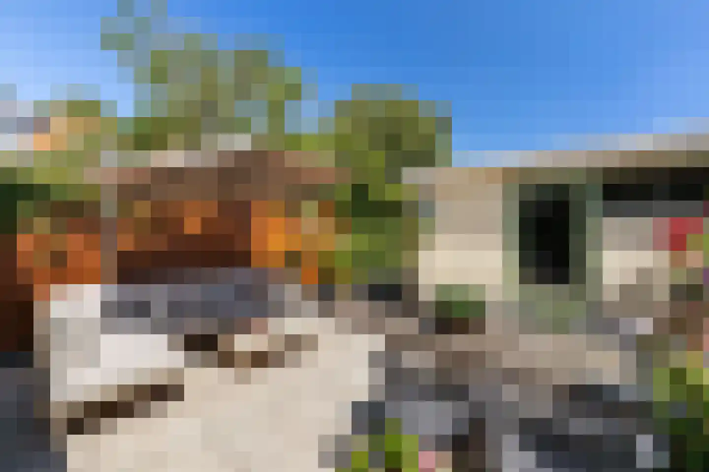 Arie van de Heuvelstraat 37 Bunnik thumbnail 33