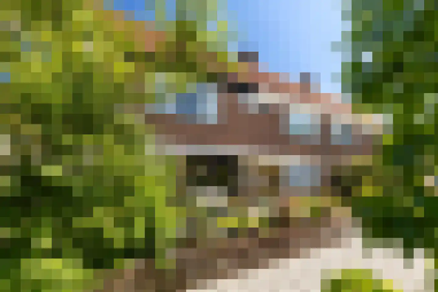 Arie van de Heuvelstraat 37 Bunnik thumbnail 5
