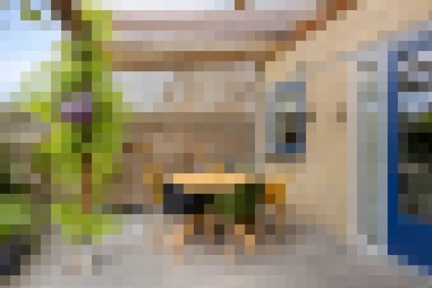 Ariëlstraat 16 Bergen op Zoom thumbnail 34
