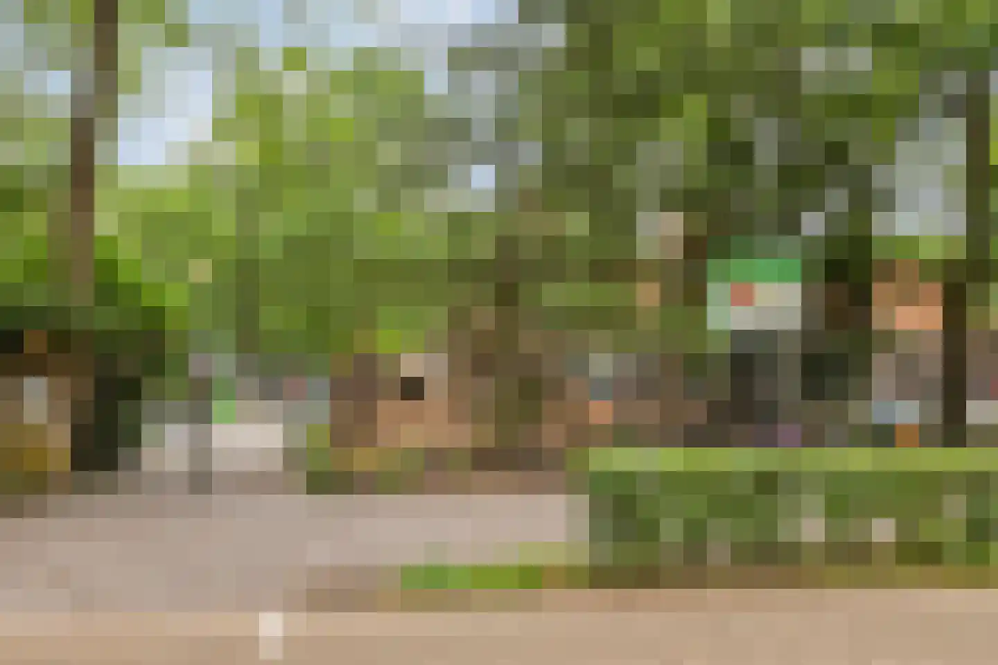 Ariëlstraat 16 Bergen op Zoom thumbnail 39