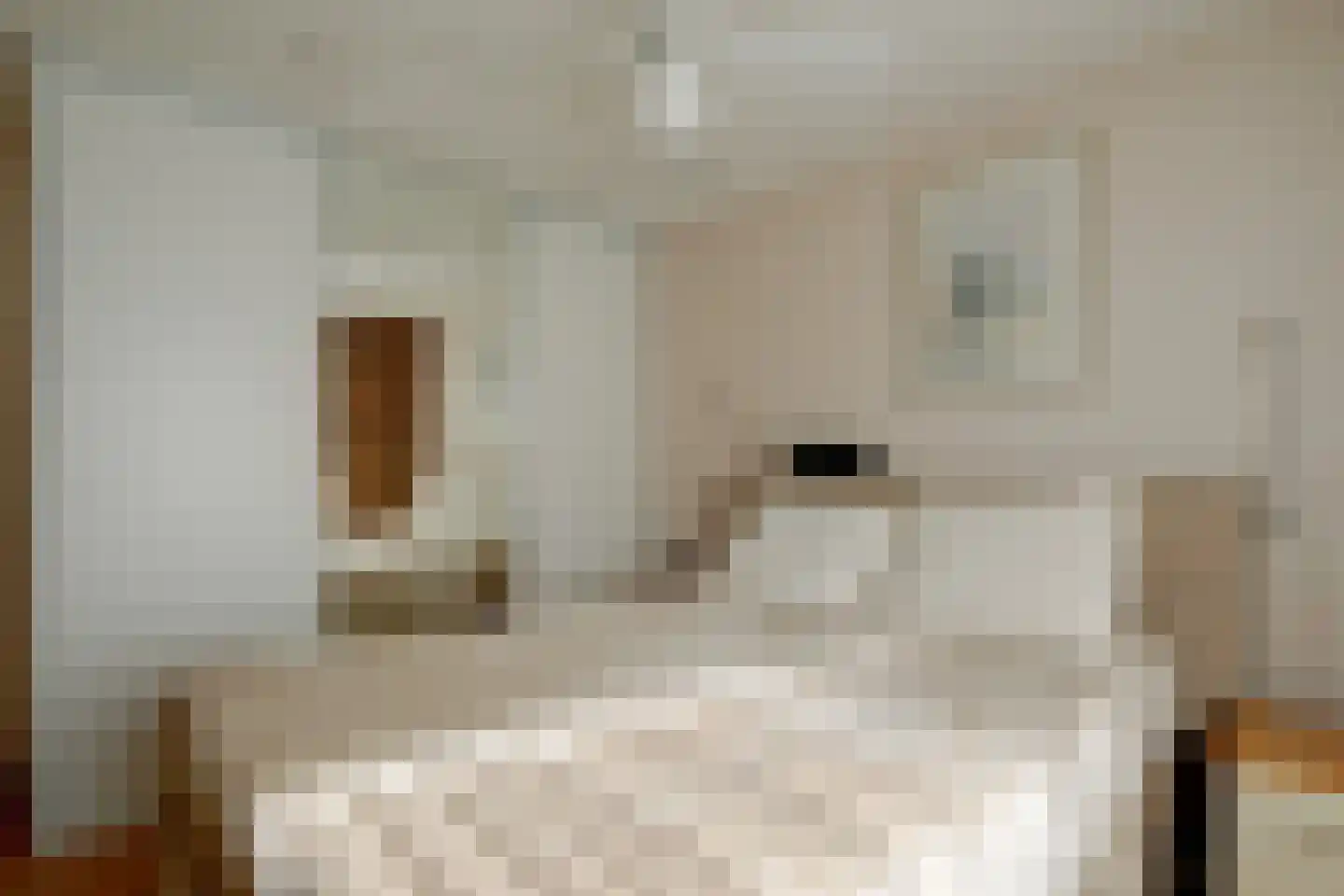 Ariën Schoutenstraat 5 De Goorn thumbnail 28