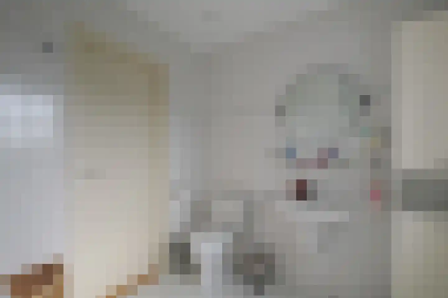 Ariën Schoutenstraat 5 De Goorn thumbnail 38