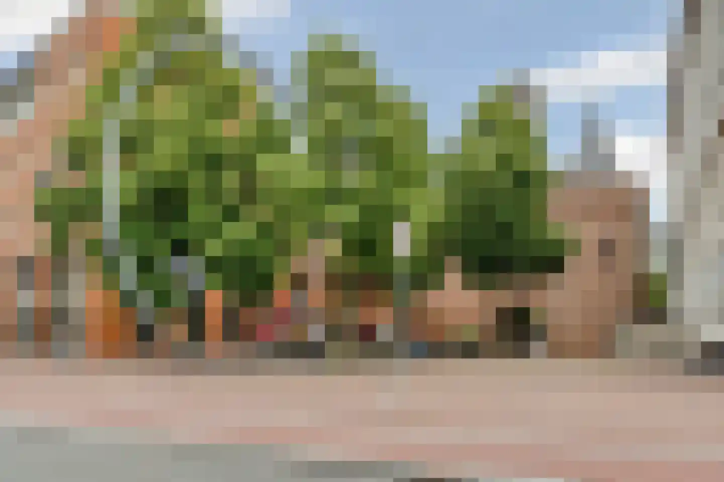 Ariën Verhoeffstraat 113 Arnhem thumbnail 45