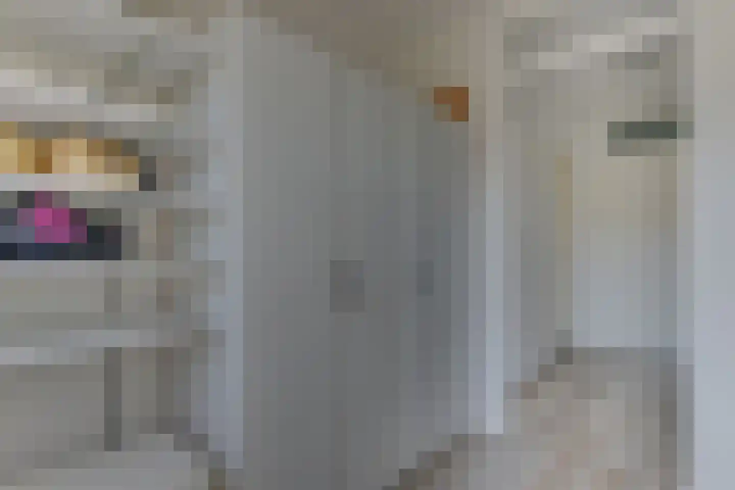 Ariëns 18 Avenhorn thumbnail 30