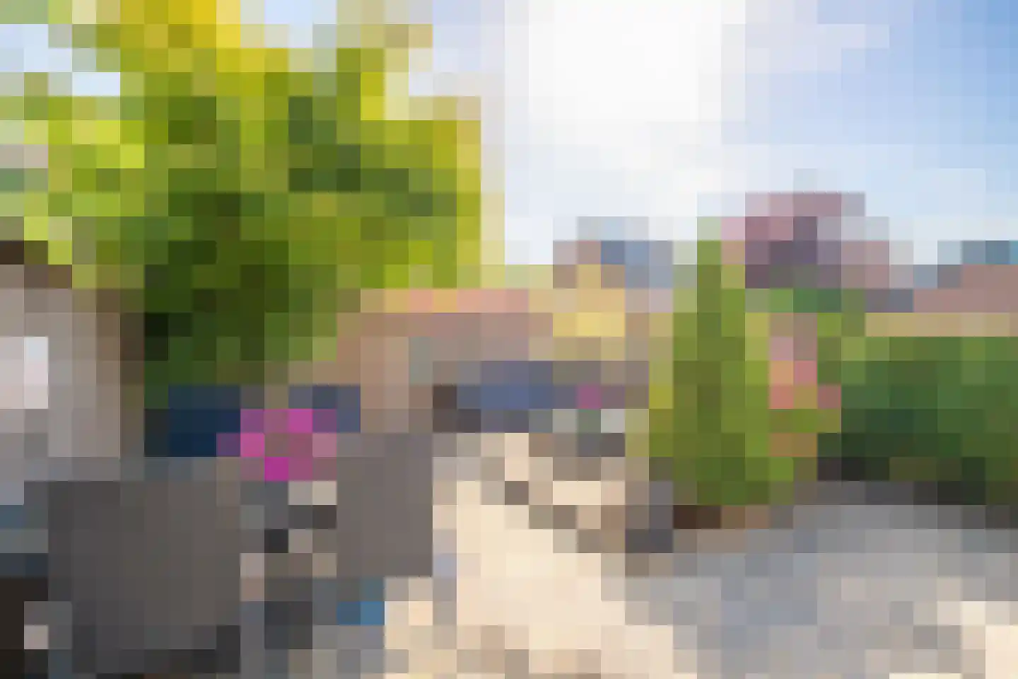 Ariëns 18 Avenhorn thumbnail 35