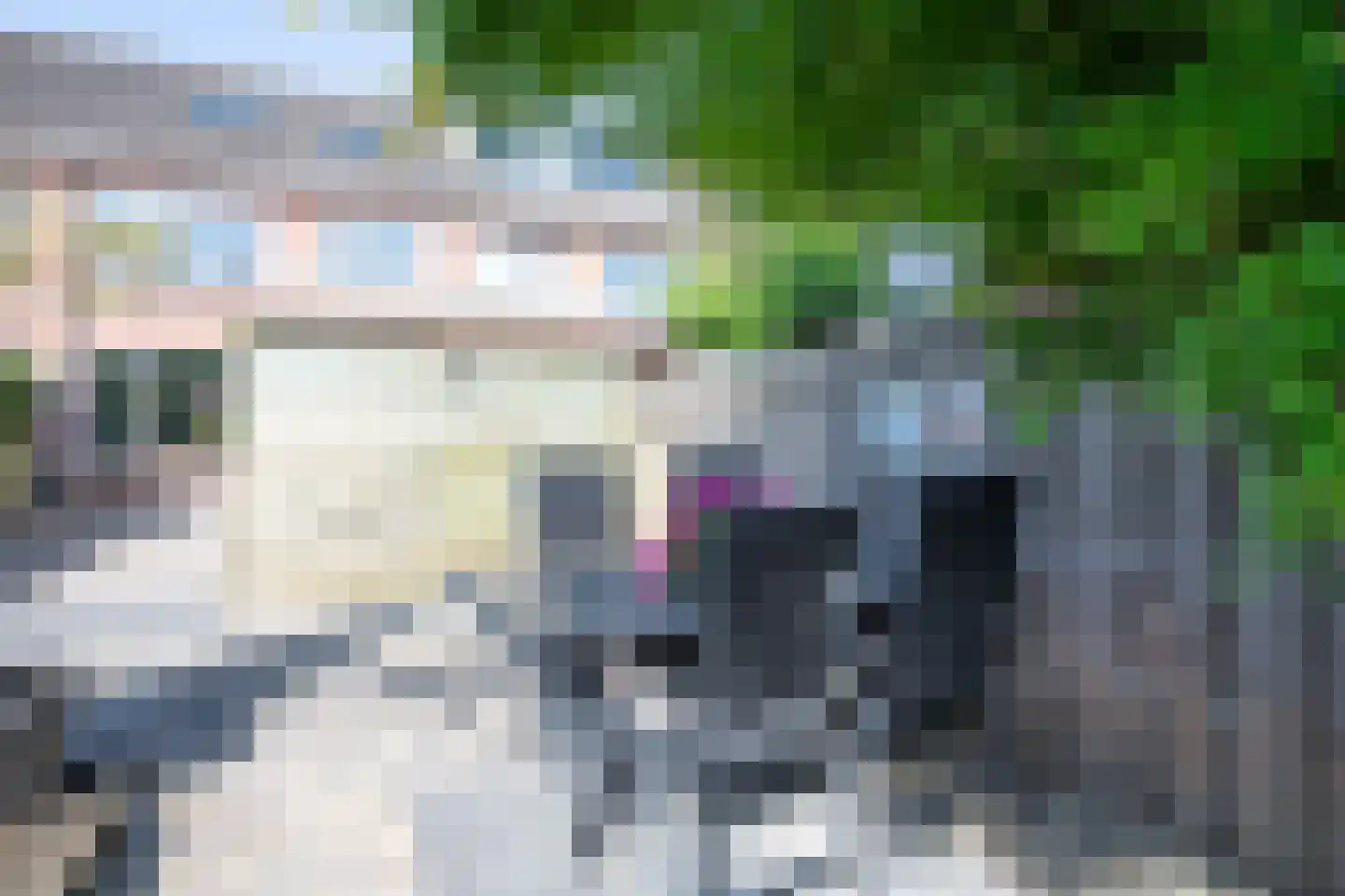 Ariëns 18 Avenhorn thumbnail 37