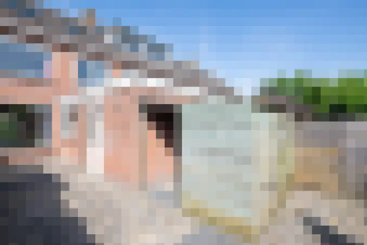 Ariëns 18 Avenhorn thumbnail 40