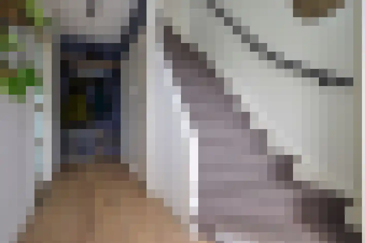 Ariëns 29 Avenhorn thumbnail 14
