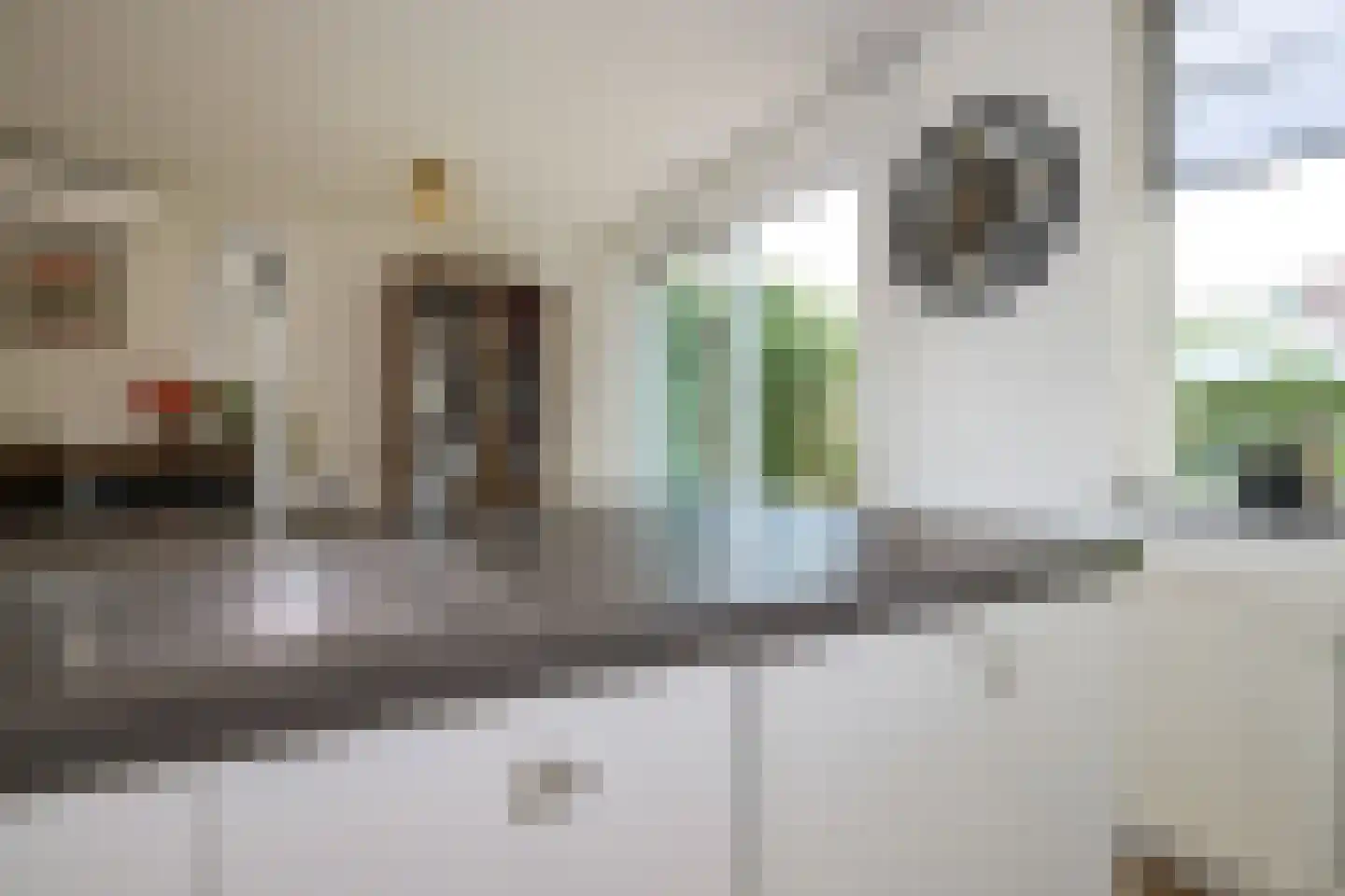 Ariëns 29 Avenhorn thumbnail 20