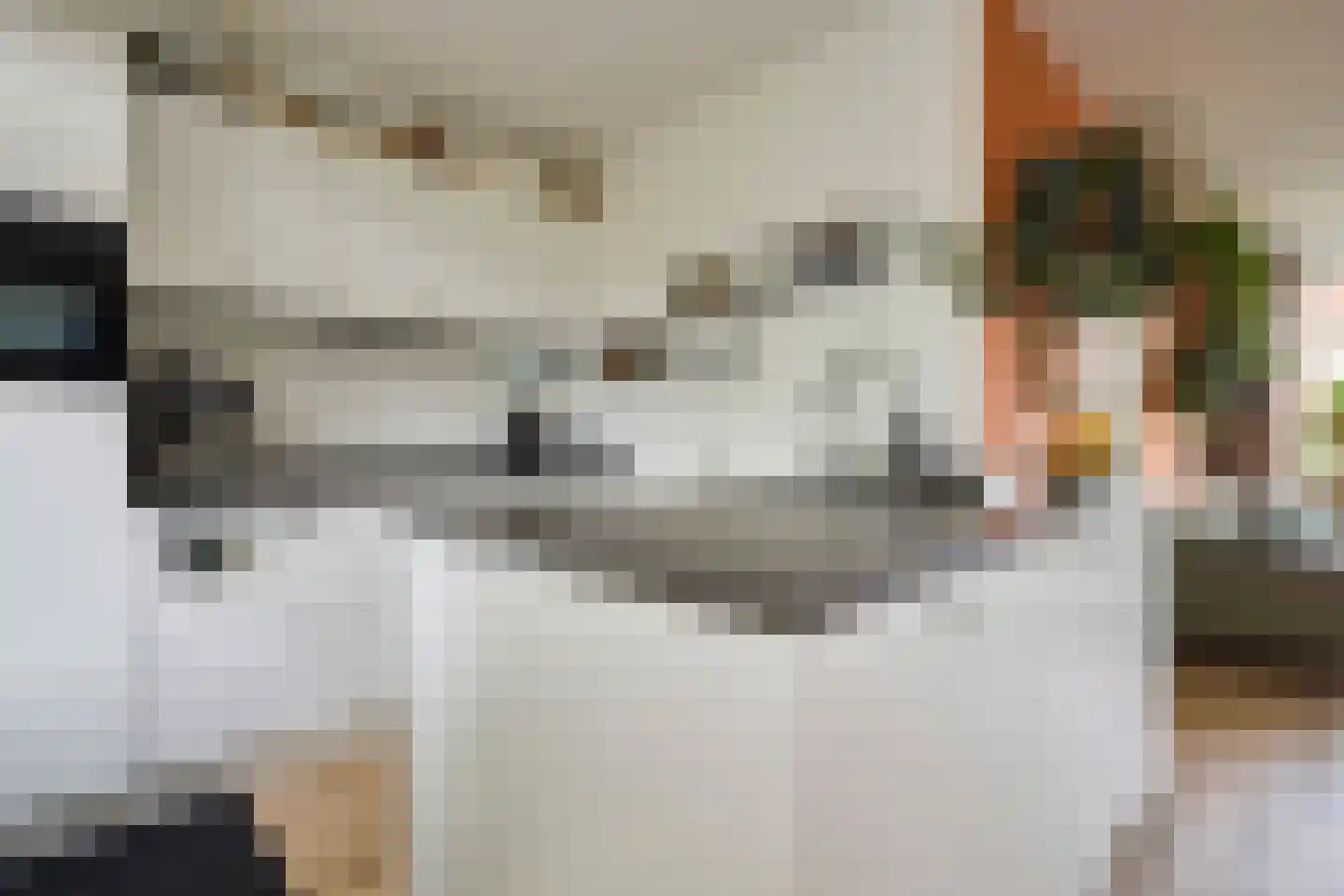 Ariëns 29 Avenhorn thumbnail 4