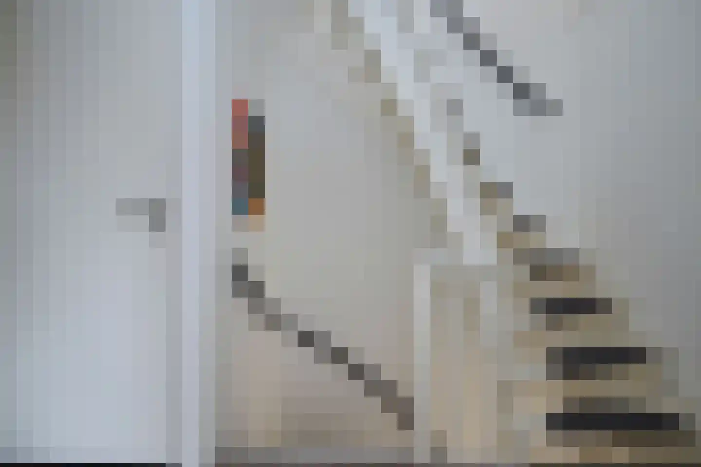 Ariëns 29 Avenhorn thumbnail 40