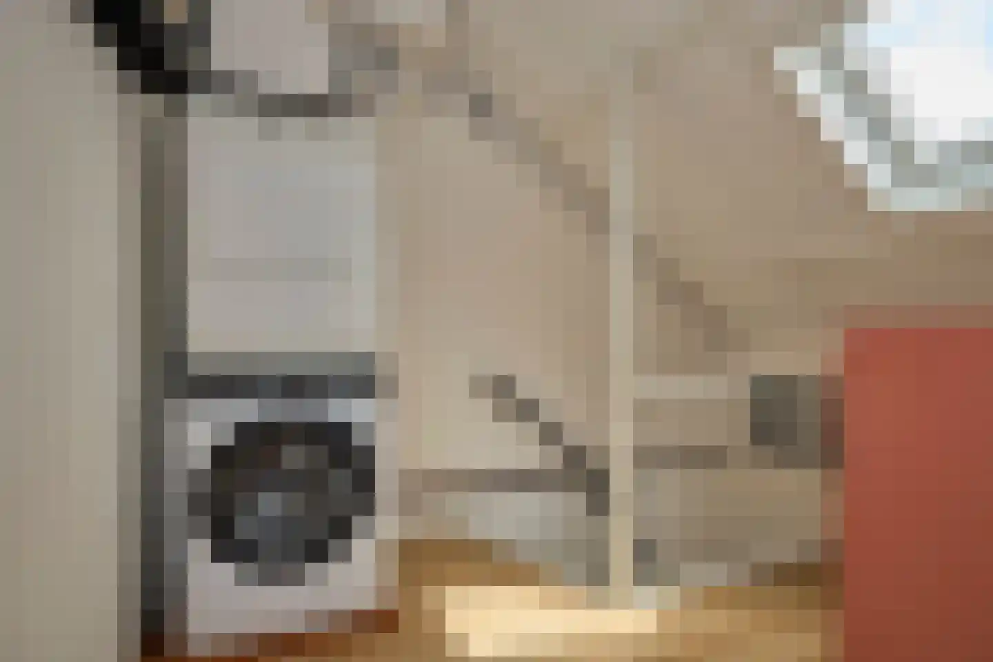 Ariëns 29 Avenhorn thumbnail 45