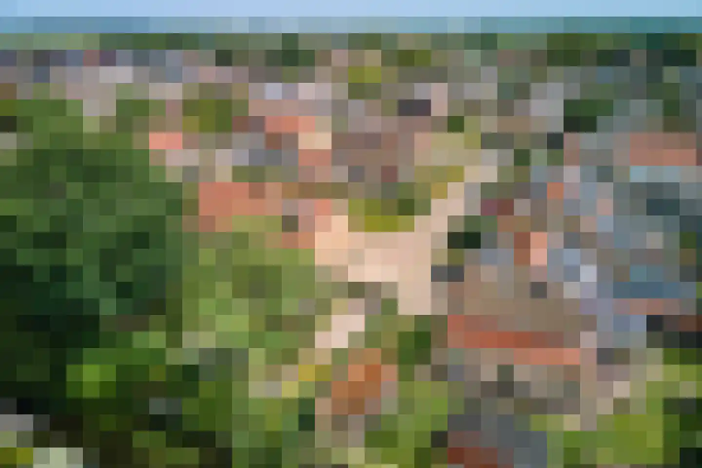 Ariëns 29 Avenhorn thumbnail 46
