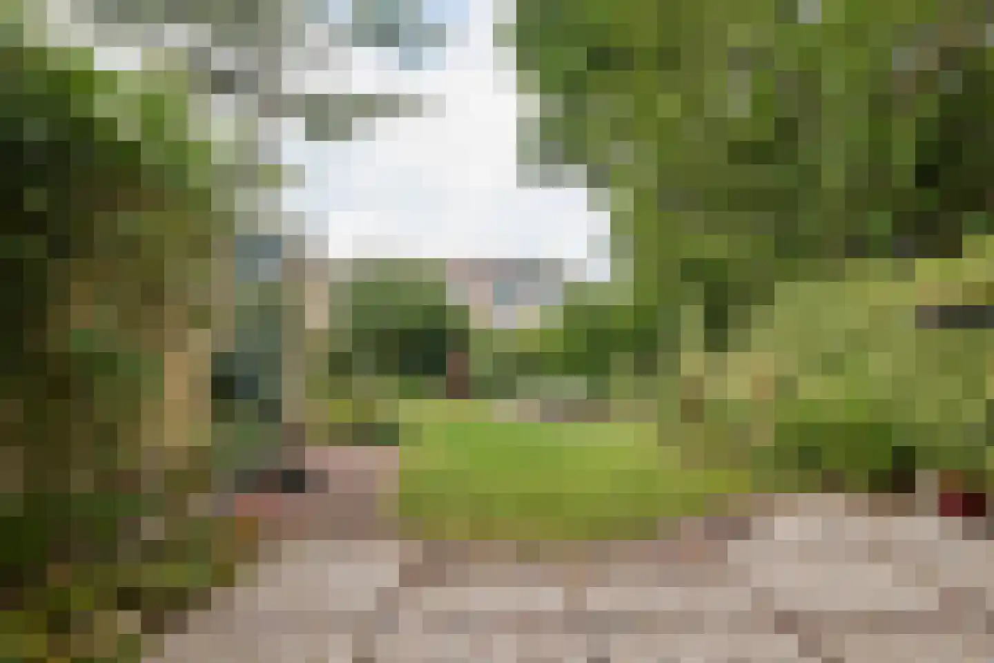 Ariëns 29 Avenhorn thumbnail 50